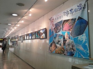 名古屋写真展