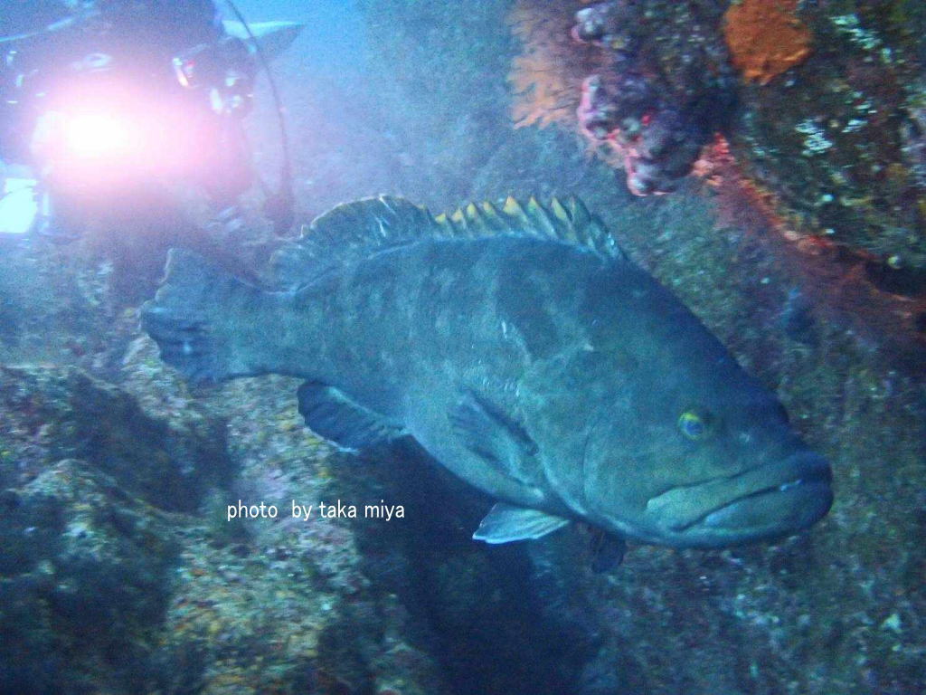 437562361_801079851465668_9406